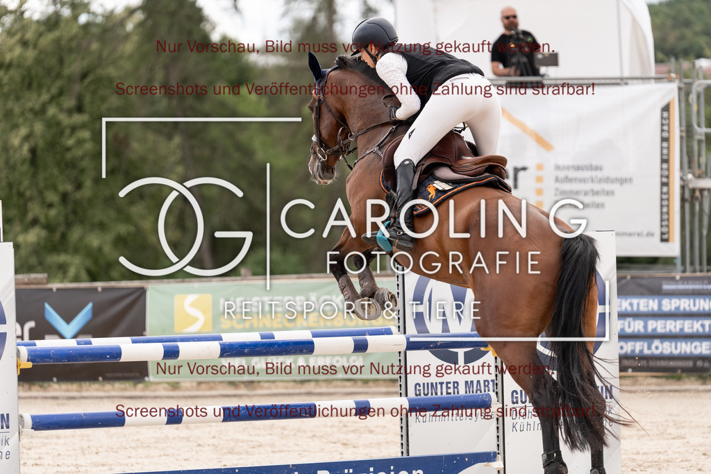 DSC06704 | Springturnier_Teamchallege_Talheim_2026, Celina_Heim, Uriah_5