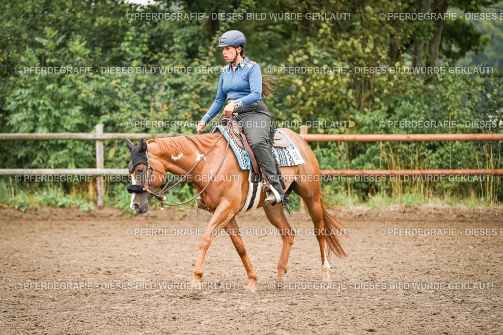 DSC02342 | Pferdegrafie