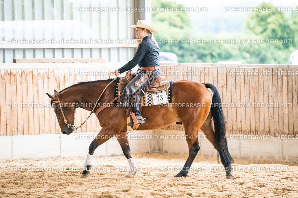 DSC00916 | Pferdegrafie