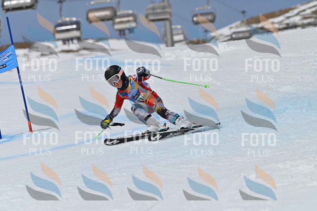 BGV_6290 | holidayphoto