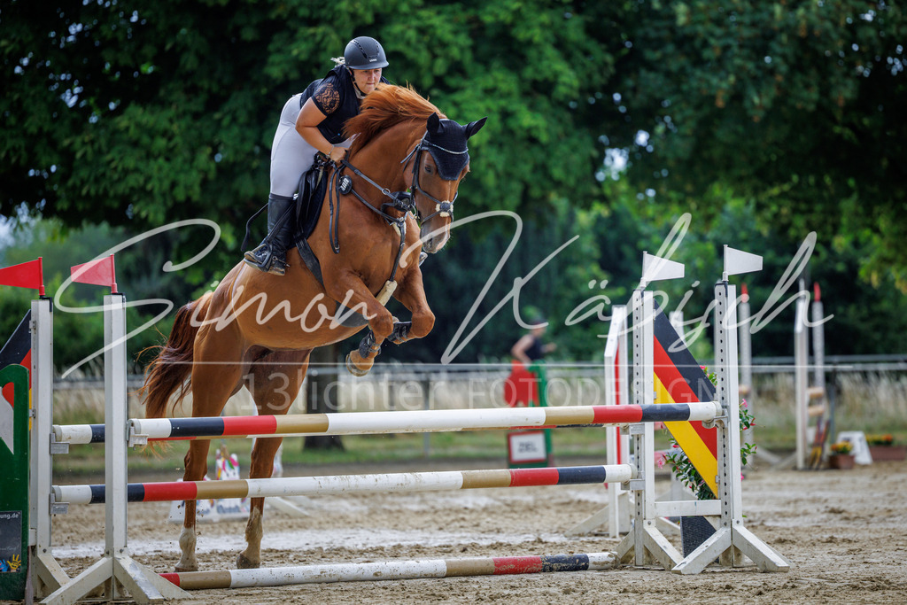 20260705-_3LI4269 | Tierfotografie Pferde, Hunde, Katzen, Haustiere.
Turnierfotografie Reitturniere, Reiten, Springreiten, Dressur in Hanau, dem Main-Kinzig-Kreis und dem Rhein-Main- Gebiet um Frankfurt