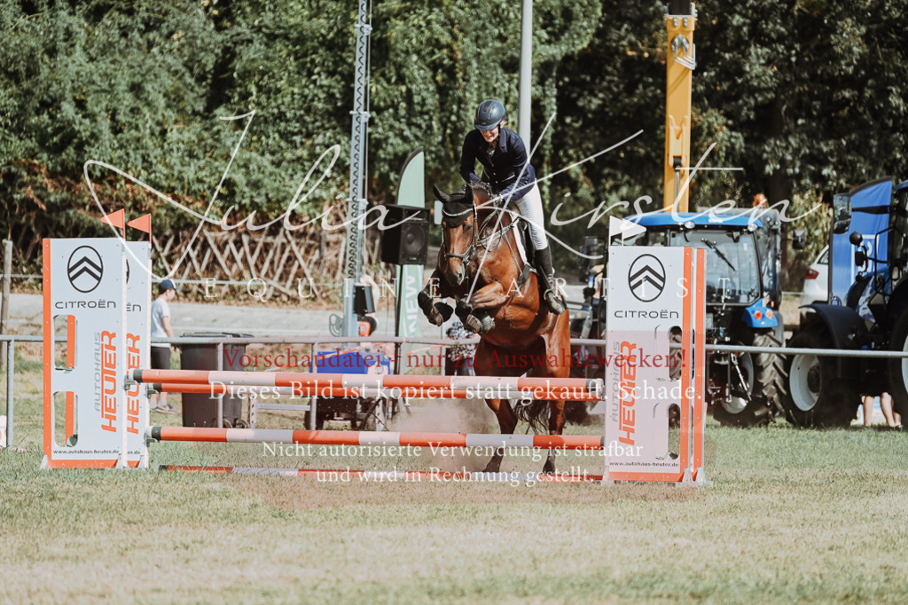 DSC_9397 | Pferde- und Turnierfotografie in Westsachsen. Pferdeportraits, Auftragszeichnungen und intuitive Kunst.