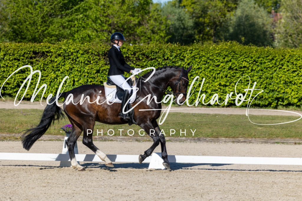 7I8A8942 | melanie-engelhardt-photography - Realisiert mit Pictrs.com