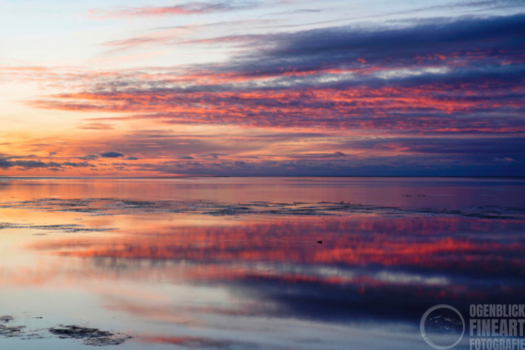 Februar | Björn Thiemann; Ogenblick.de; Fotografie; Photograph; Landscape, Pellworm, Schleswig-Holstein; Inselfotograf; Inselfotografien; Wattenmeer; National-Park; Naturschutzgebiet; Leuchtturm; Lighthouse; Leinwandbilder; Kalender; Pellworm Kalender;  - Realisiert mit Pictrs.com