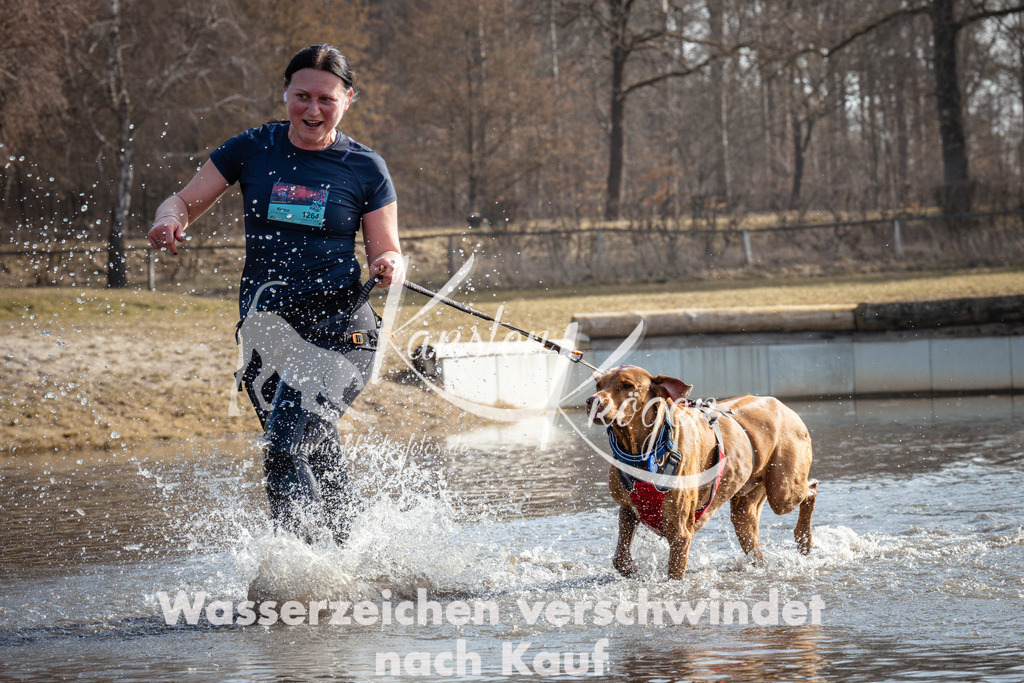 1115_ZZ93456 | kk-dogfotos