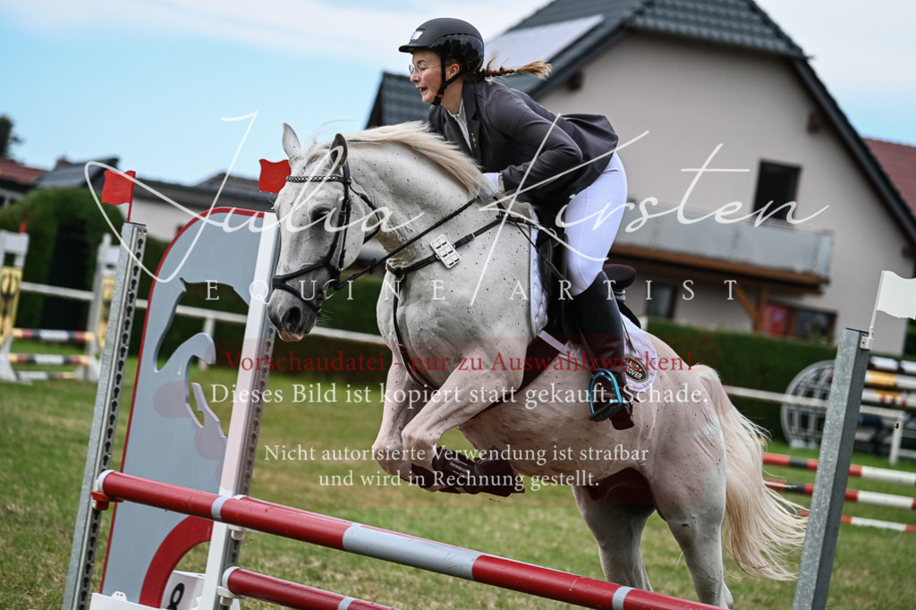 DSC_8640 | Pferde- und Turnierfotografie in Westsachsen. Pferdeportraits, Auftragszeichnungen und intuitive Kunst.