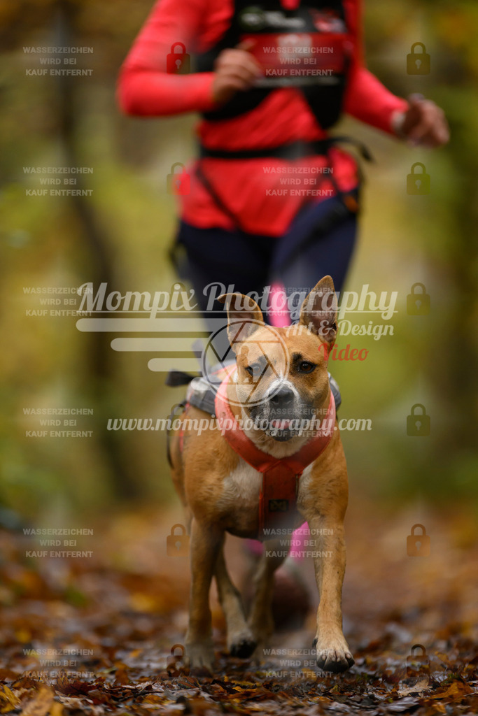 MompixPhotography_CD7S_DI_CCL-131 | mompixphotography