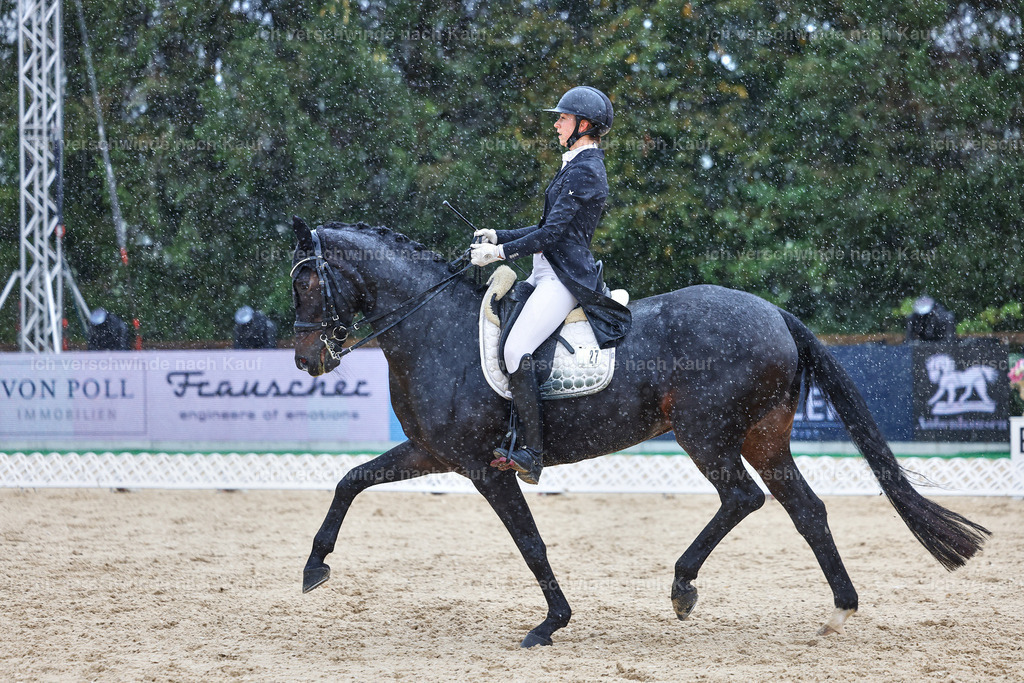 8_1-027-Klasse S_  -StoibPH-4013 | working equitationturnier fotograf videograf stoibphotography marixx film working equitation deutschland reitsport turnierfotografie eventfotografie equestrian events
