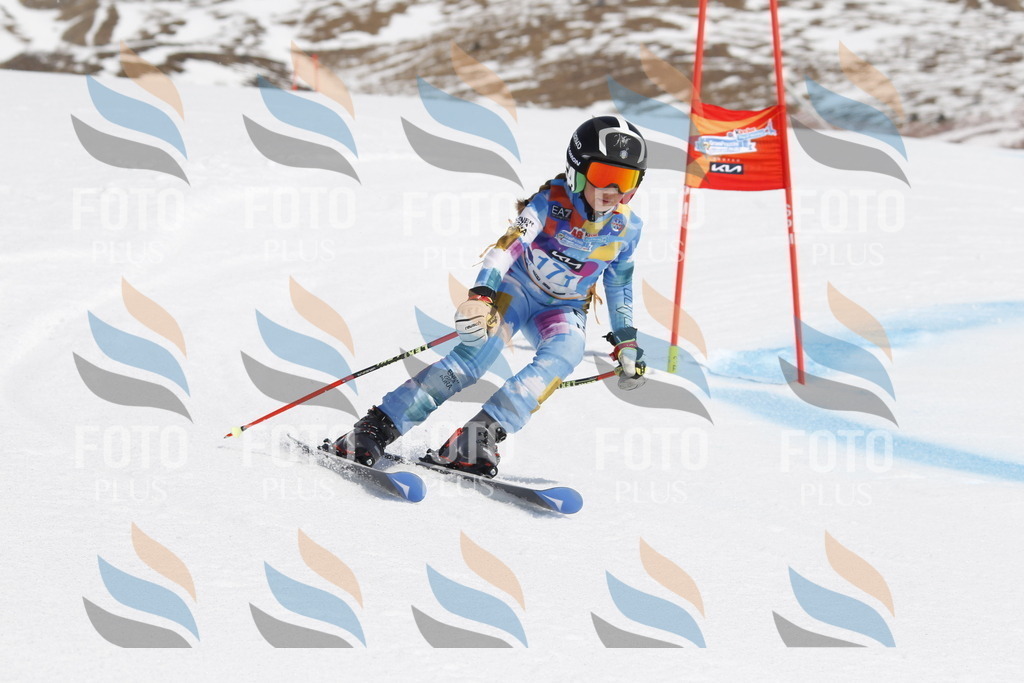 _U3G1570 | holidayphoto