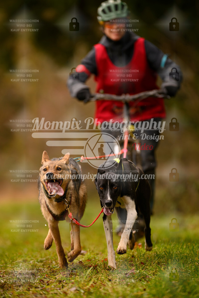 MompixPhotography_2SSTSSBW_2025_SO_Scooter-102 | PayLife
