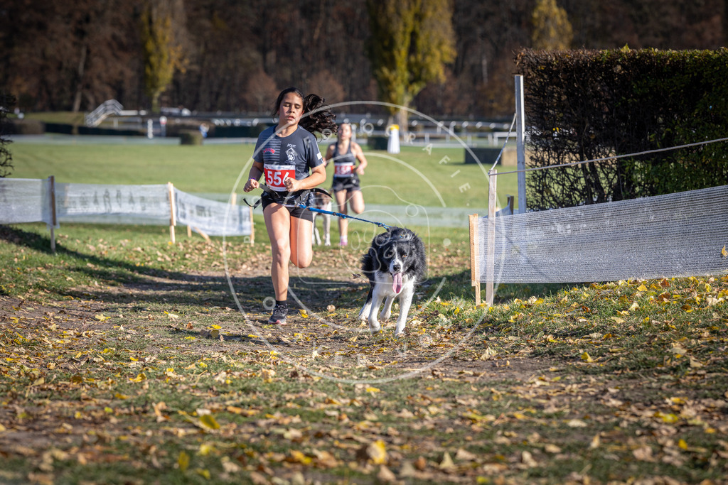 CaniXpix_DV3A8600 | Hundefotografie, Tierfotograf, Pfotenfotografie, Fotoshooting Hund, Hunde Portrait, Hundesport, Hundeportraits, Heideshooting, Hunde, Sportfotograf, Hundefotograf, Turnierhundsport, THS,  - Realisiert mit Pictrs.com