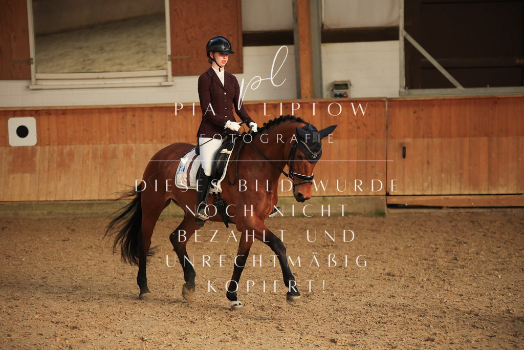 IMGT3596 | pl-fotografie