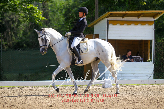 DKP42851 | Turniersportfotografie; Pferdefotografie; Dressurfotografie
