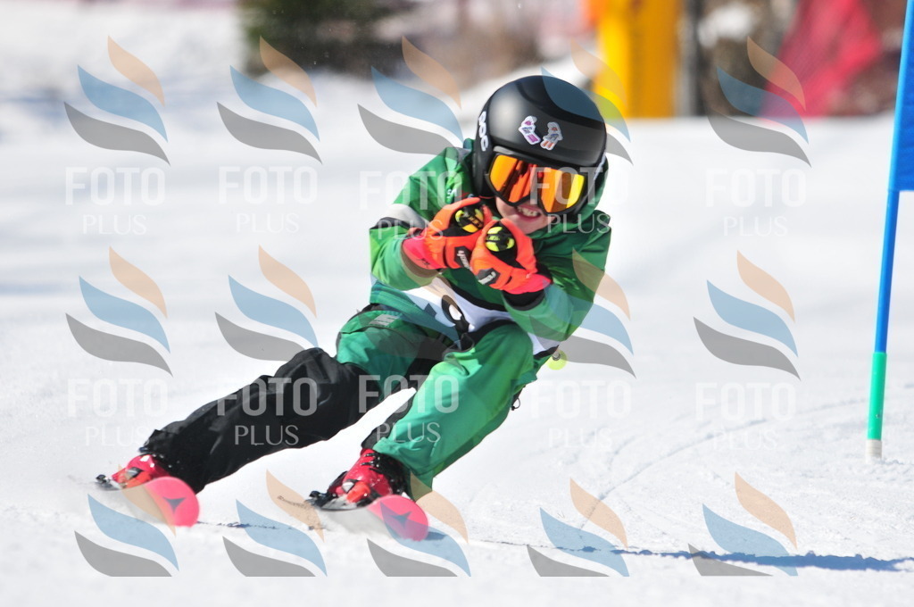 C3221 | holidayphoto