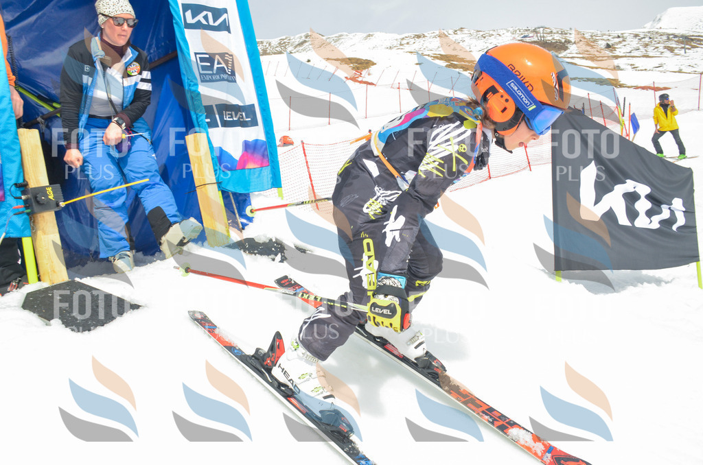 _ELE8344 | holidayphoto