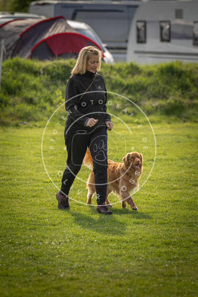 Pfotenfotografie_DV3A4852 | Hundefotografie, Tierfotograf, Pfotenfotografie, Fotoshooting Hund, Hunde Portrait, Hundesport, Hundeportraits, Heideshooting, Hunde, Sportfotograf, Hundefotograf, Turnierhundsport, THS,  - Realisiert mit Pictrs.com