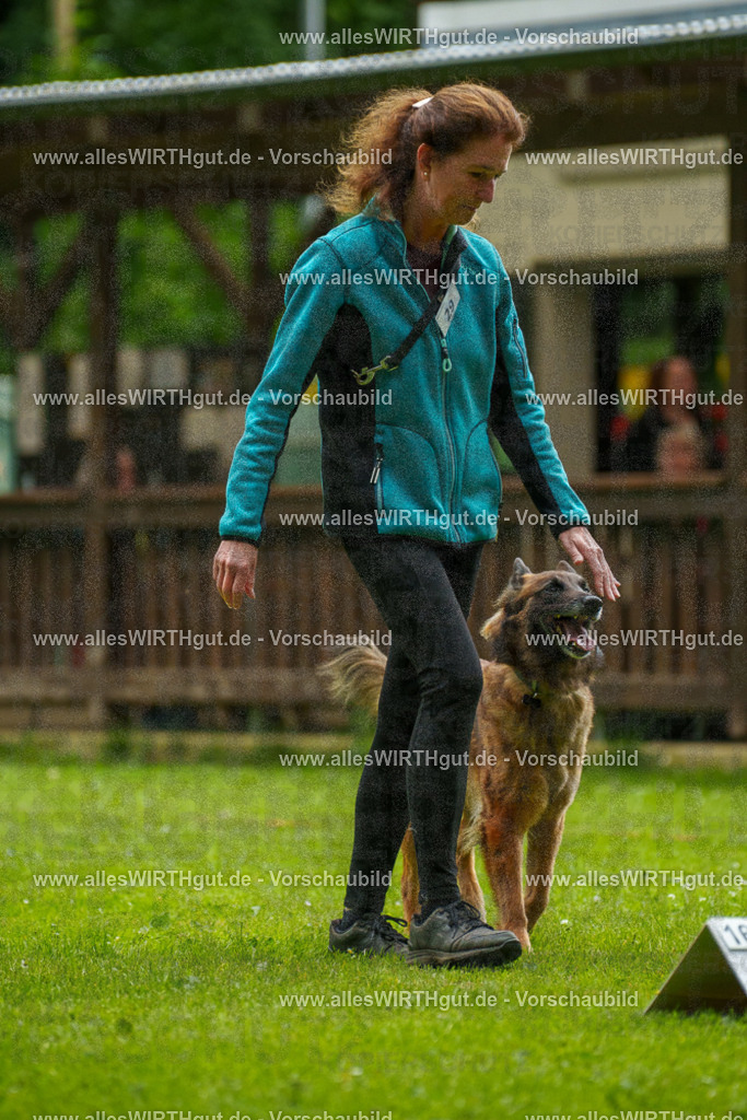 @allesWIRTHgut_Tierfotografie - www.allesWIRTHgut.de - 102144-7R508404 | Professionelle Tierfotografie in Mönchengladbach von Daniel Wirth (allesWIRTHgut). Liebevolle & natürliche Bilder von Hunden & Katzen für unvergessliche Erinnerungen.