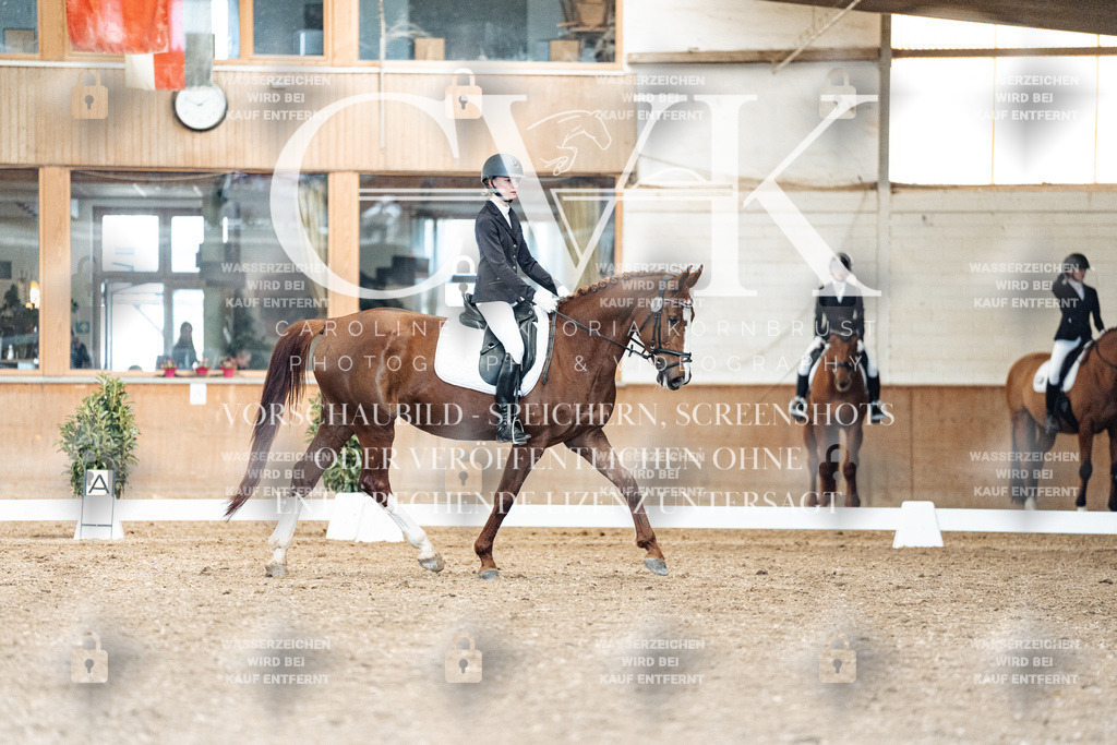 CK900988 | Turnierfotografie Pferdefotografie Trier Rheinland-Pfalz Pferdesport Reitsport Tierfotografie Sportfotografie Pferdevideo Pferdevideografie Equestrianvideography equestrianphotography  - Realisiert mit Pictrs.com