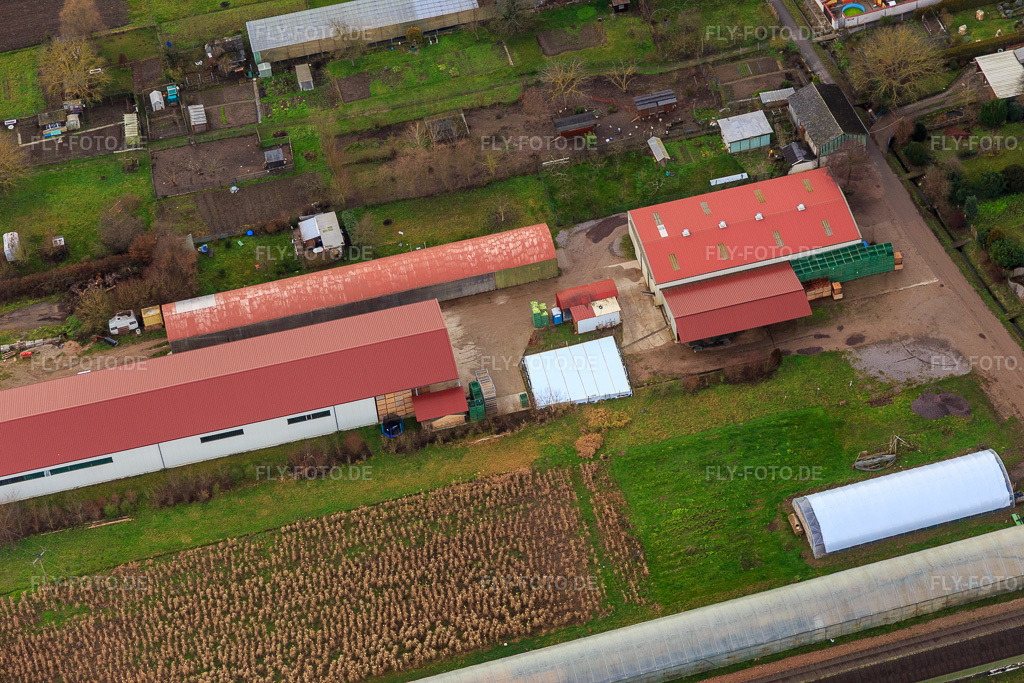 Luftbild: Landwirtschaftliche Hallen Am Ettenbaum in Kandel im Bundesland Rheinland-Pfalz in Deutschland. Foto: IMG_085952.jpg vom 08.01.2016 durch Werner Riehm/FLY-FOTO.de
