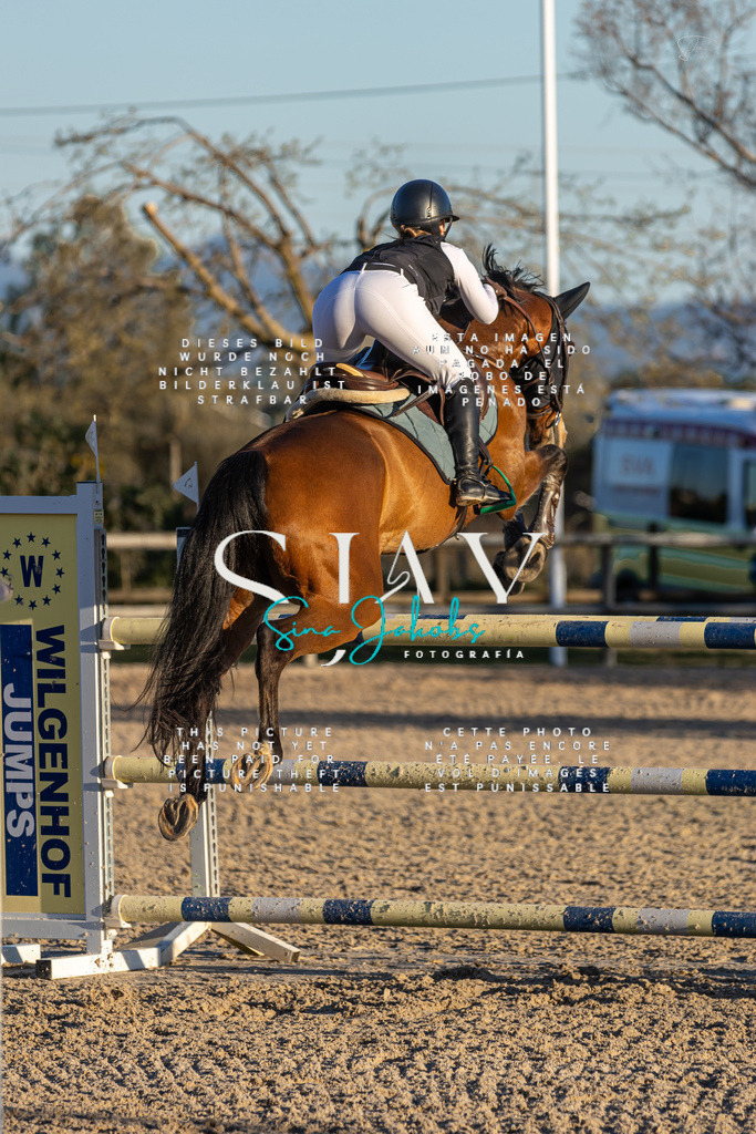 IMG_2863 | s-jay-photography - Realisiert mit Pictrs.com