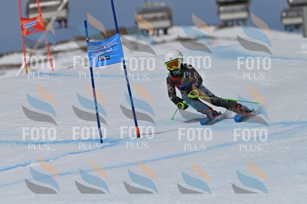 BGV_6954 | holidayphoto