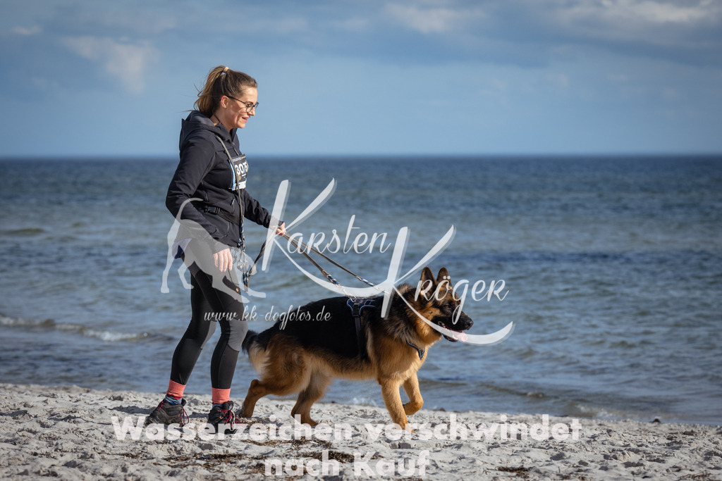 1353_ZZ94283 | kk-dogfotos