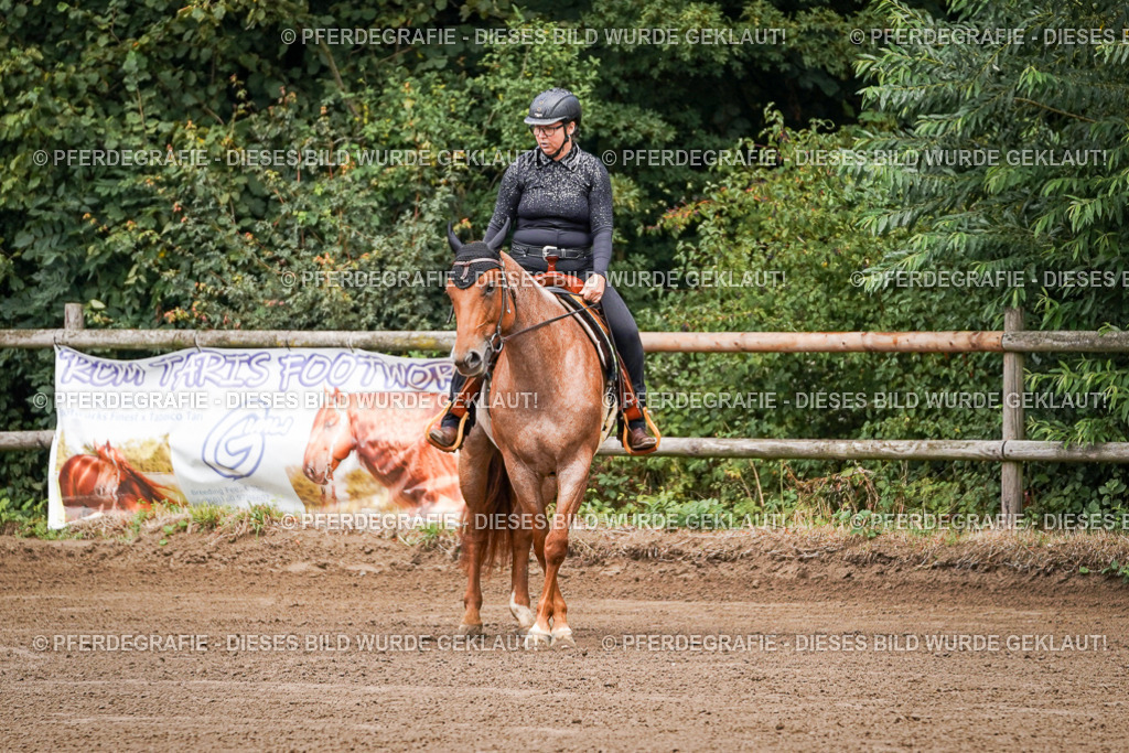 DSC05669 | Pferdegrafie