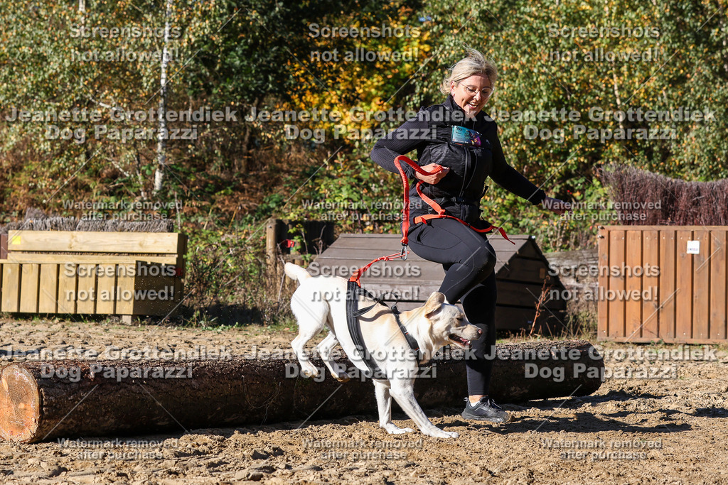 Dog Paparazzi - Strongdog 10-25-2329 | Dog Paparazzi Jeanette Grottendiek Fotografie & Videografie - Realisiert mit Pictrs.com