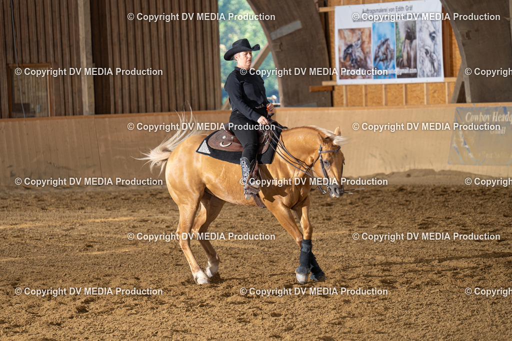 DSC00087 | dv-media-shop - Realisiert mit Pictrs.com