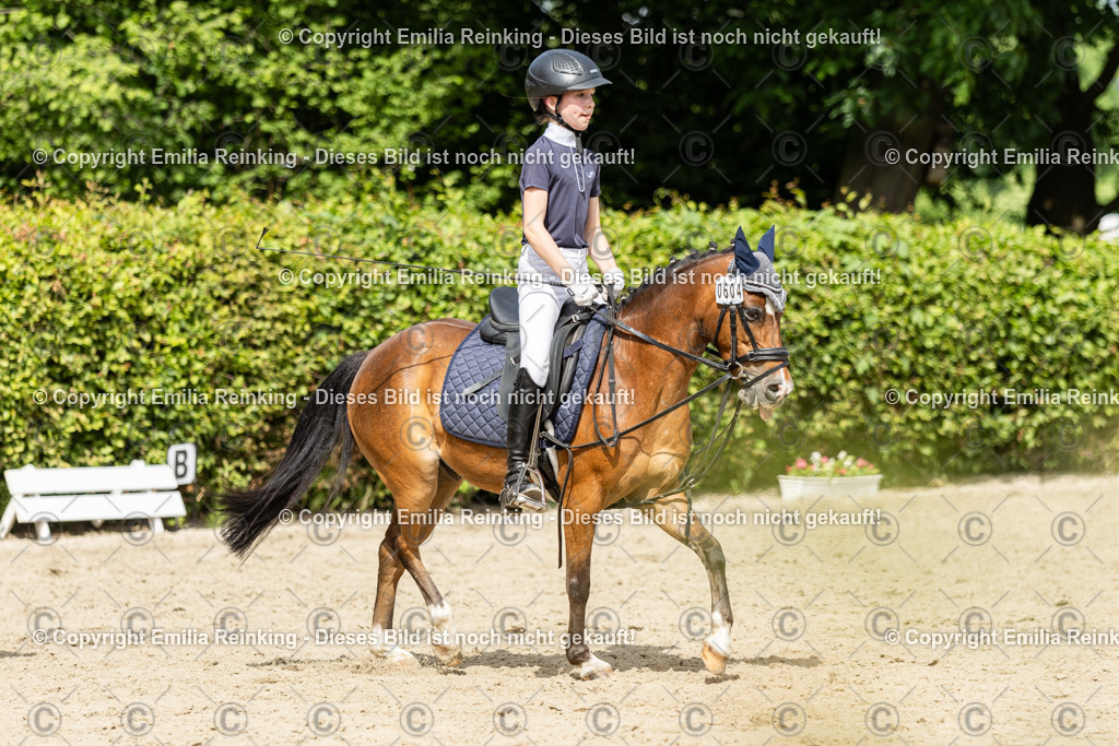 CL5A1450 | Emilia Reinking Fotografie - Realisiert mit Pictrs.com