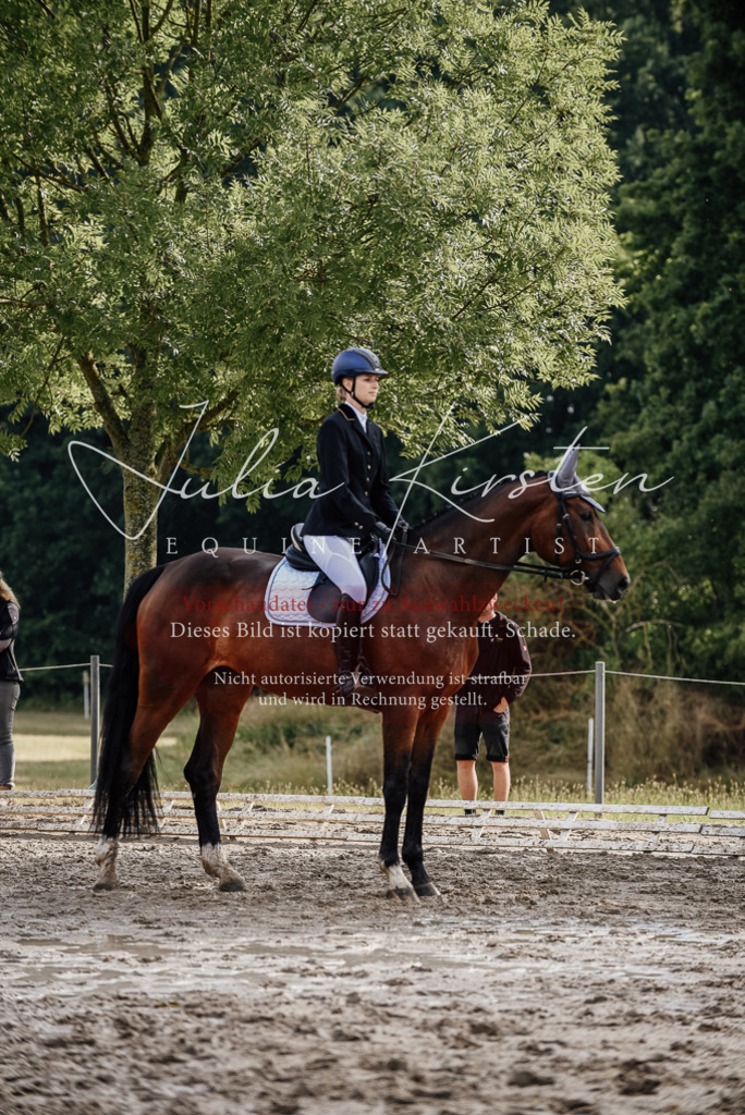 DSC_9001 | Pferde- und Turnierfotografie in Westsachsen. Pferdeportraits, Auftragszeichnungen und intuitive Kunst.