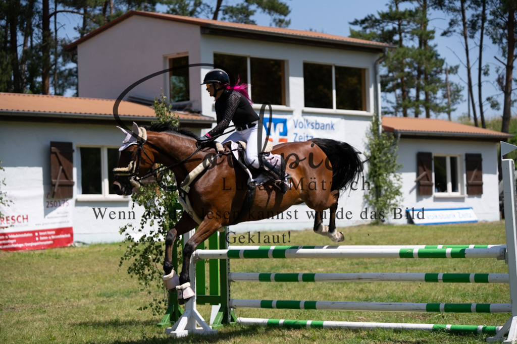 A7V06045 | Pferdefotograf