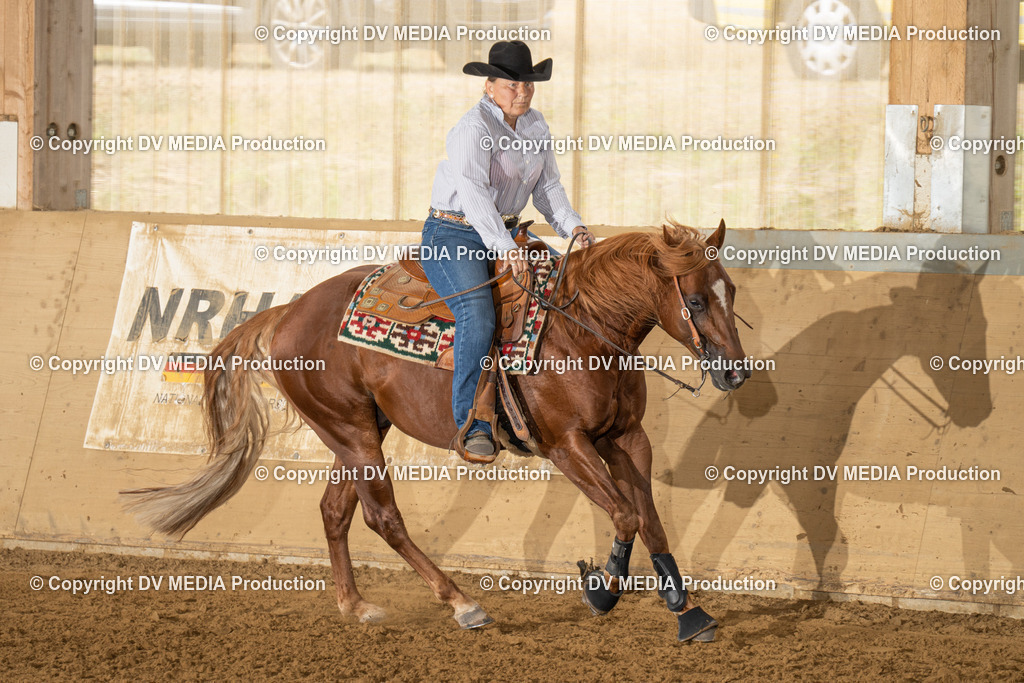 LAU01589 | dv-media-shop - Realisiert mit Pictrs.com