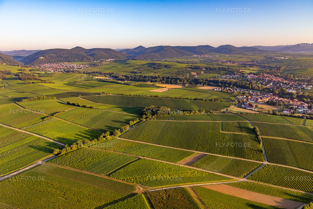 Luftbild: Weinberge überall im Klingbachtal zwischen Klingenmünster und Klingen im Ortsteil Klingen in Heuchelheim-Klingen im Bundesland Rheinland-Pfalz in Deutschland. Foto: IMG_143024.jpg vom 06.08.2024 durch Werner Riehm/FLY-FOTO.de