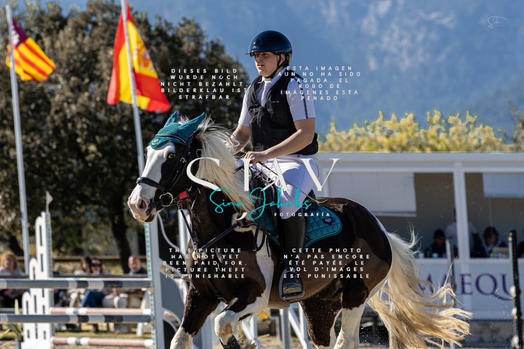 IMG_1253 | s-jay-photography - Realisiert mit Pictrs.com