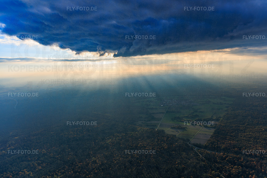 Bienwald im Gegenlicht | Luftbild: Bienwald im Gegenlicht im Ortsteil Büchelberg in Wörth im Bundesland Rheinland-Pfalz in Deutschland. Foto: IMG_150198.jpg vom 11.10.2025 durch Werner Riehm/FLY-FOTO.de - Realisiert mit Pictrs.com