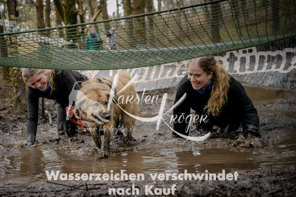 0934_ZZ98161 | kk-dogfotos