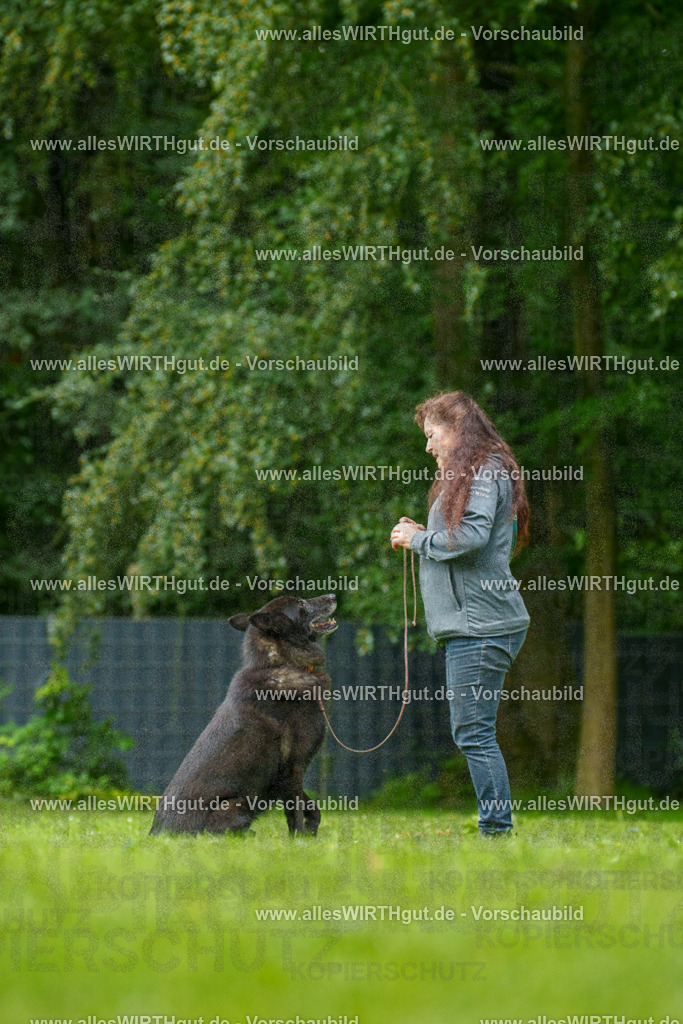 @allesWIRTHgut_Tierfotografie - www.allesWIRTHgut.de - 135441-7R500170 | Professionelle Tierfotografie in Mönchengladbach von Daniel Wirth (allesWIRTHgut). Liebevolle & natürliche Bilder von Hunden & Katzen für unvergessliche Erinnerungen.