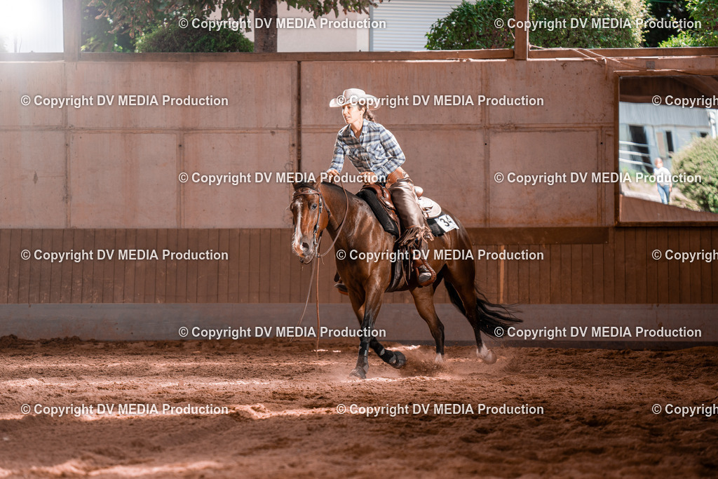 NE100858 | dv-media-shop - Realisiert mit Pictrs.com