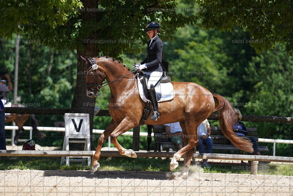 20240705-FAH03566 | Turnierbilder von Grafing, Reitsportbilder, Turnierfotos, Turnierfotografen Bayern, Pferdefotograf, Fotoagentur Herrmann