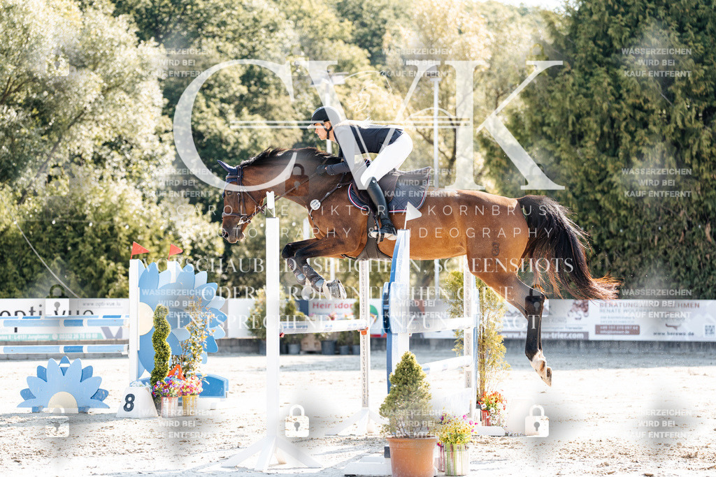 CK902036 | Turnierfotografie Pferdefotografie Trier Rheinland-Pfalz Pferdesport Reitsport Tierfotografie Sportfotografie Pferdevideo Pferdevideografie Equestrianvideography equestrianphotography  - Realisiert mit Pictrs.com