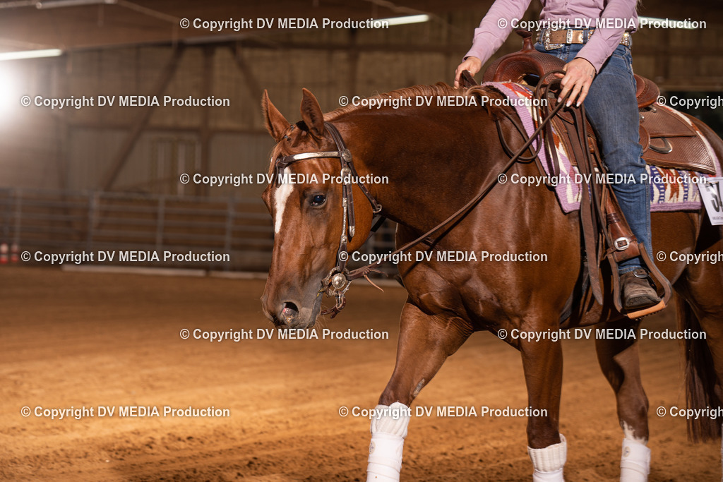 NID00970 | dv-media-shop - Realisiert mit Pictrs.com