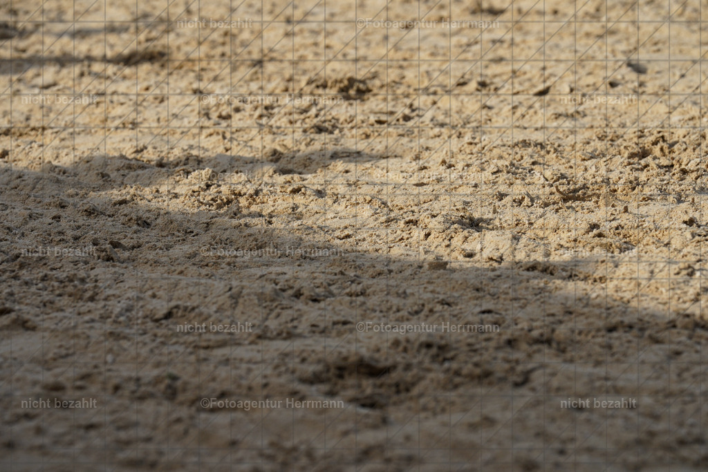 20240825-FAH00588 | Turnierbilder, Reitsportfotos, LAPO, Landesponyturnier, Turnierfotografen Bayern