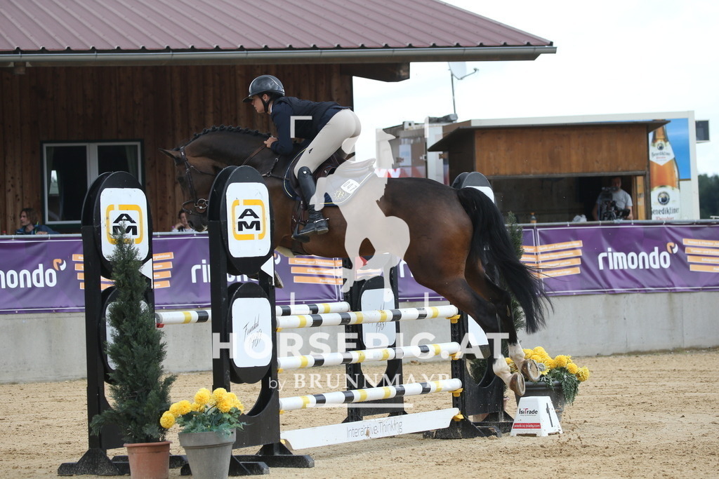 DL2Q2063 | Willkommen bei Brunnmayr - Design & Fotografie – Ihrem Spezialisten für Reitturniere und Pferdeveranstaltungen in Oberösterreich, Salzburg und Bayern! Seit über 17 Jahren sind wir leidenschaftlich dabei.