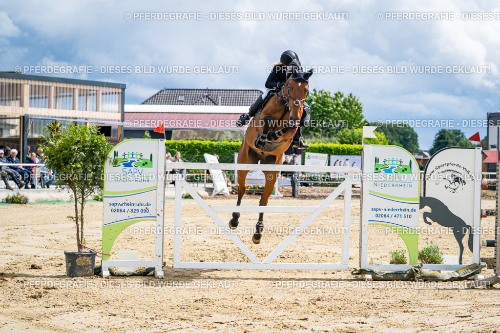 DSC05561 | Pferdegrafie