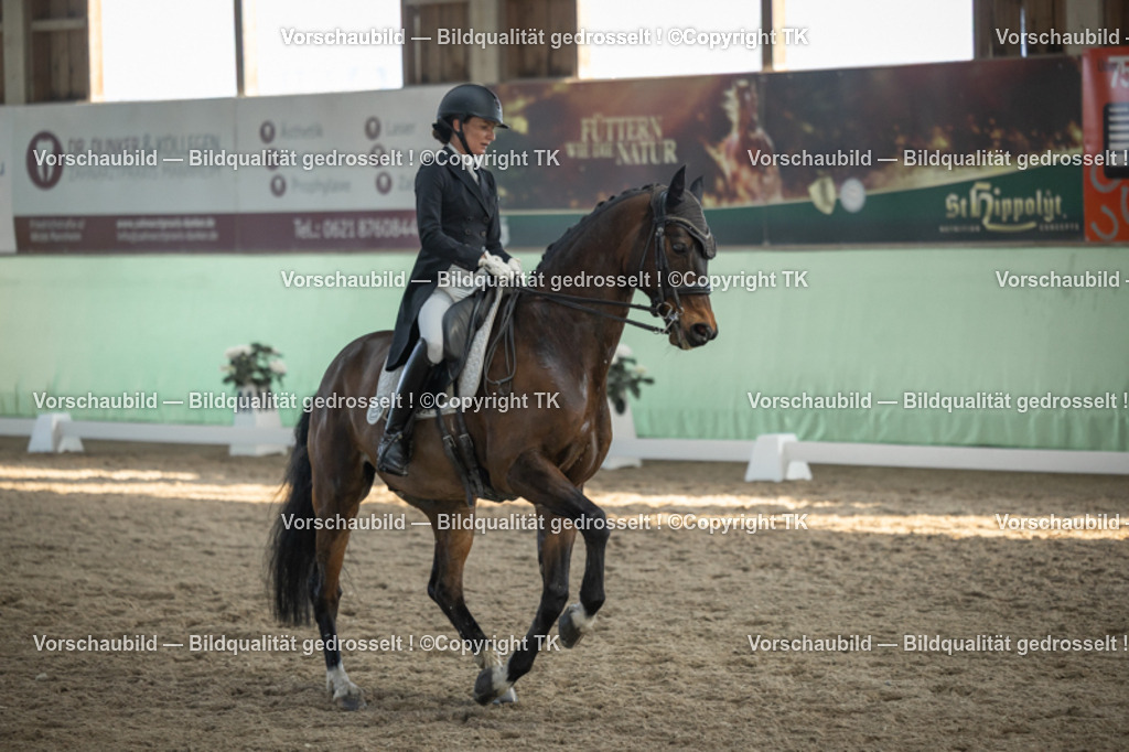 _D5A0704 | Emotionale Pferde- & People-Fotografie rund um Heidelberg, Leimen & Umgebung. Natürliche Fotos von Pferd, Mensch & Familie. Jetzt Termin sichern!