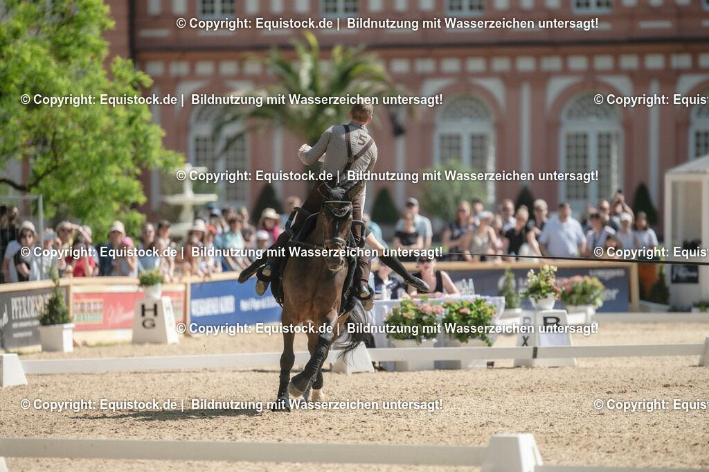 20230528_Voltigieren_NASPA_0605 | equistock