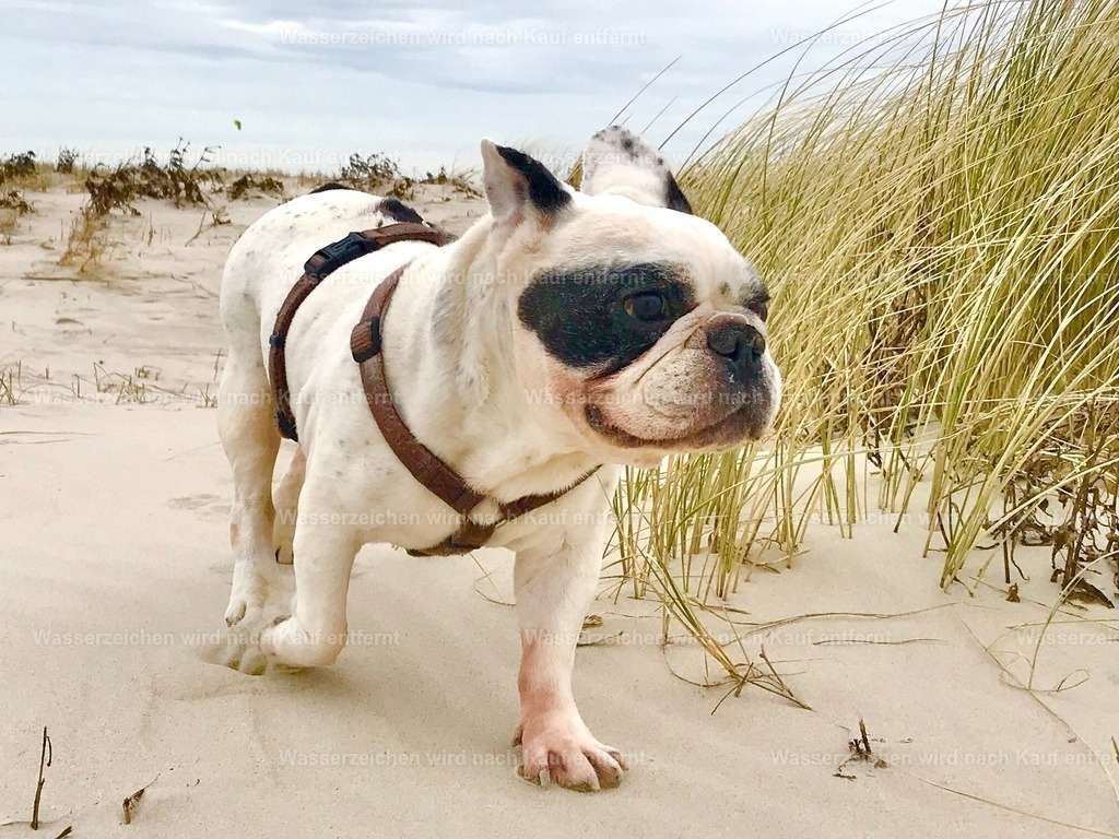 IMG_0554 | heikomoeller - Realisiert mit Pictrs.com