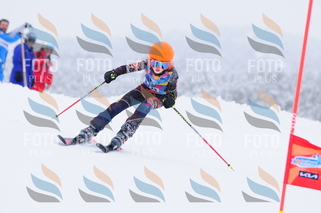 C3348 | holidayphoto