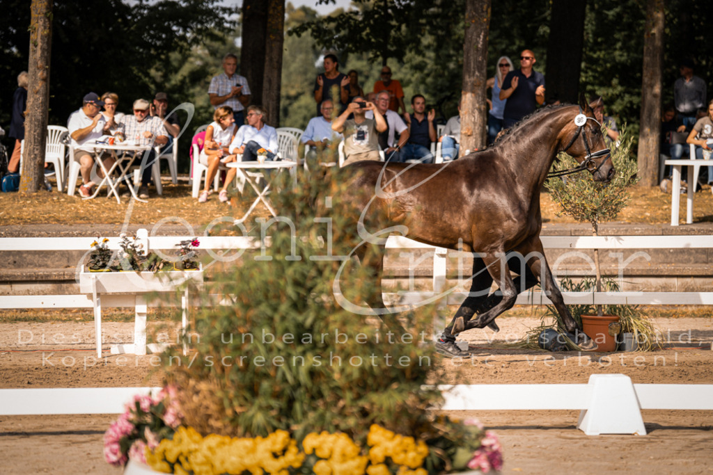 FrER00180 | Leoni Ertmer Photography - Realisiert mit Pictrs.com